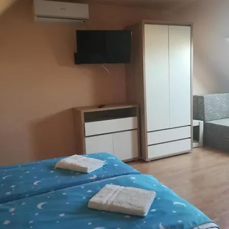 Karika Vendeghaz *