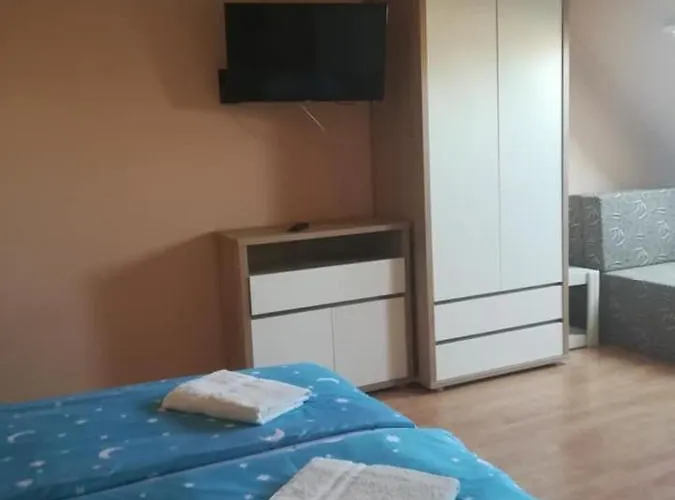 Karika Vendeghaz *
